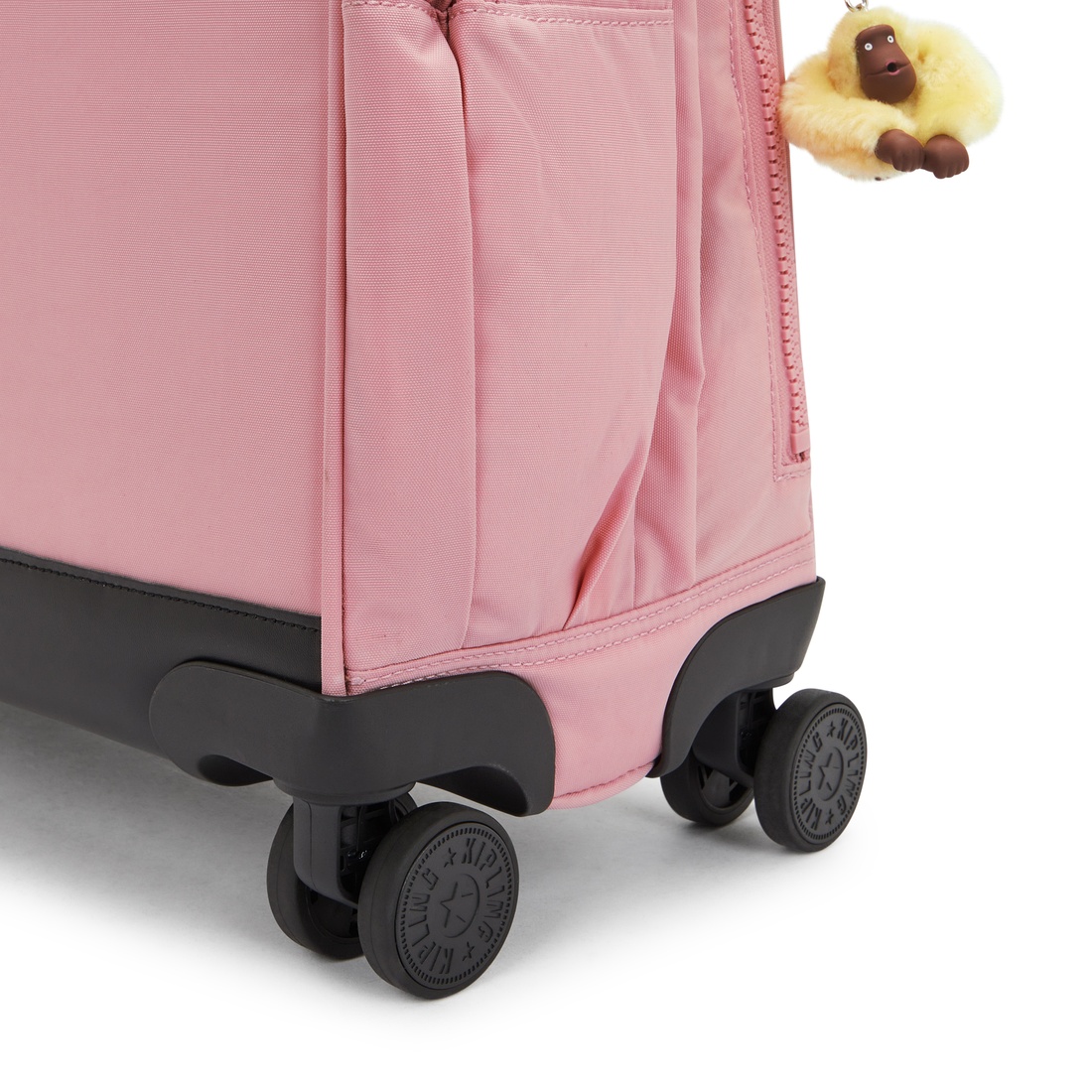ピンクデイジー